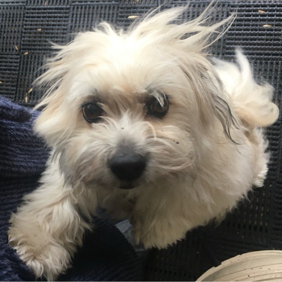 Meet your Posher, Christine - Picture 1 of 1